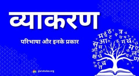 व्याकरण किसे कहते हैं ? और उसके भेद कितने हैं