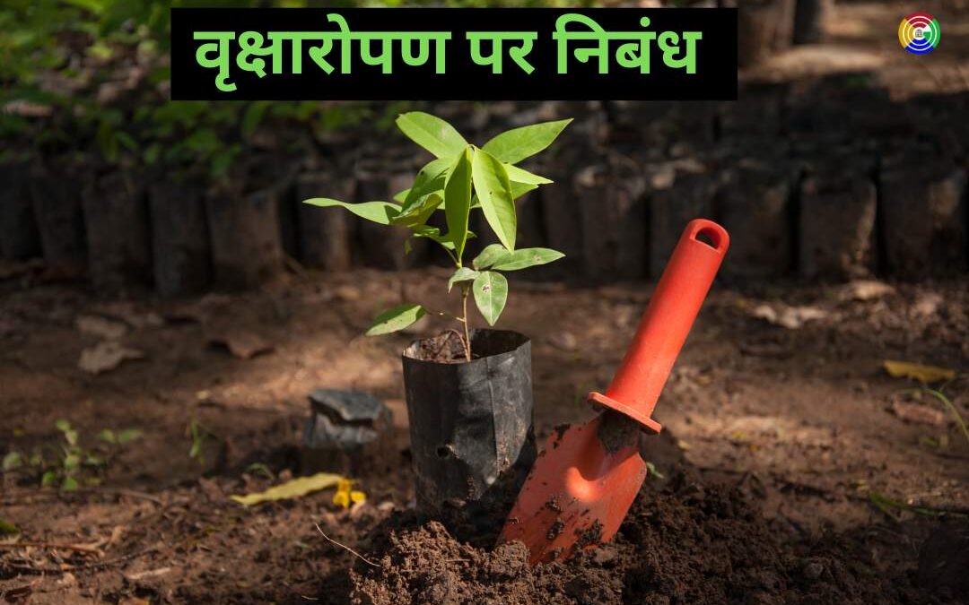 वृक्षारोपण पर निबंध || Essay on Tree Plantation in Hindi