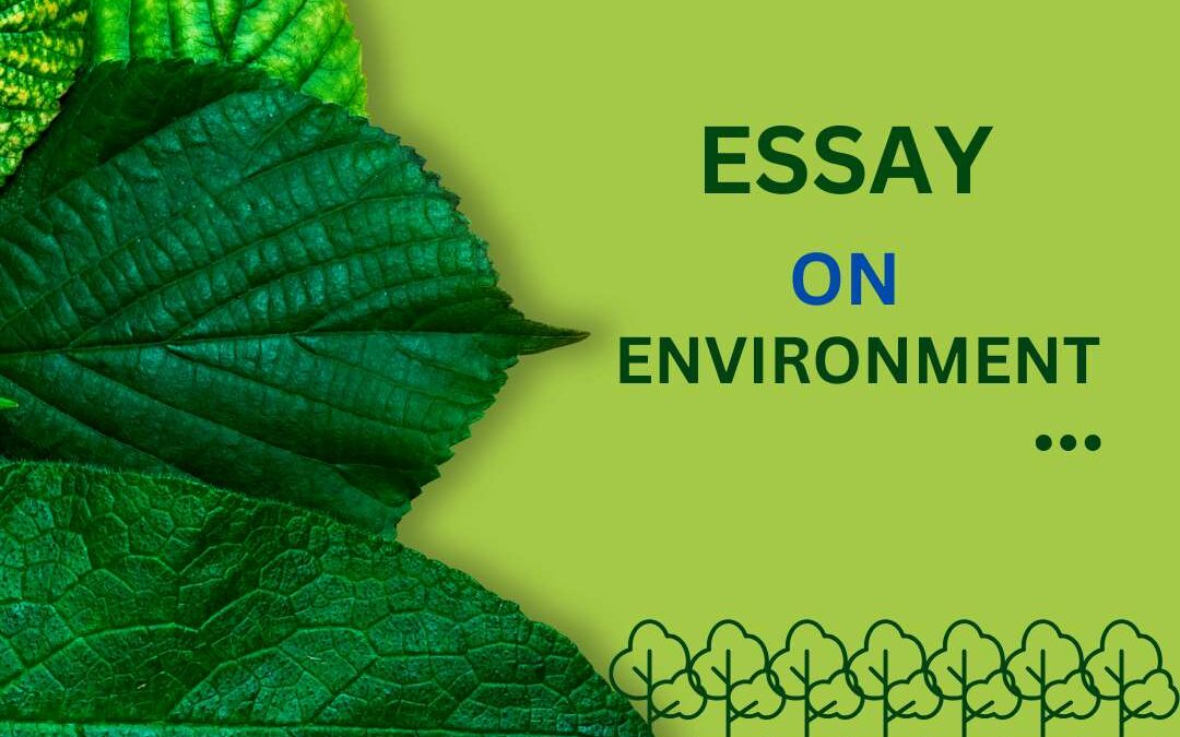 ESSAY ON ENVIRONMENT