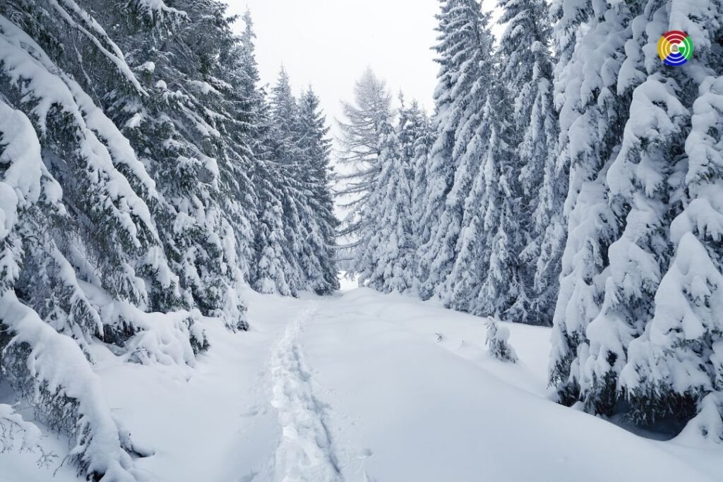 Essay on Winter Season in Hindi