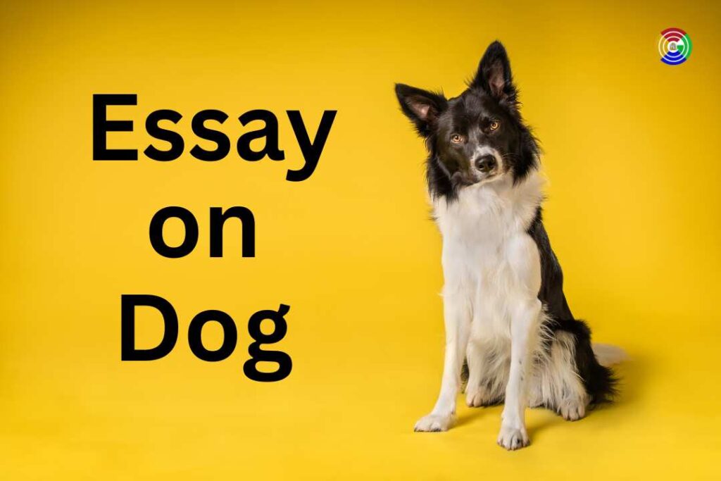 essay-on-dog