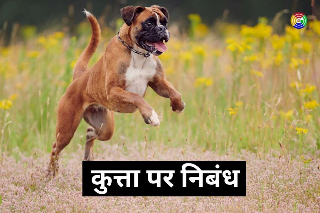 essay-on-dog-in-hindi